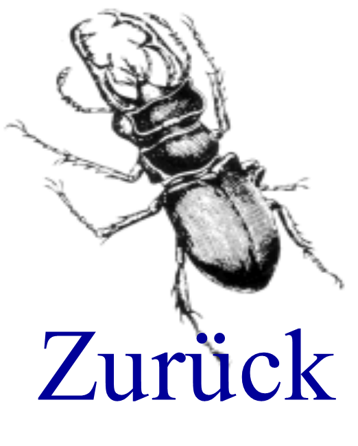 hirschkltz